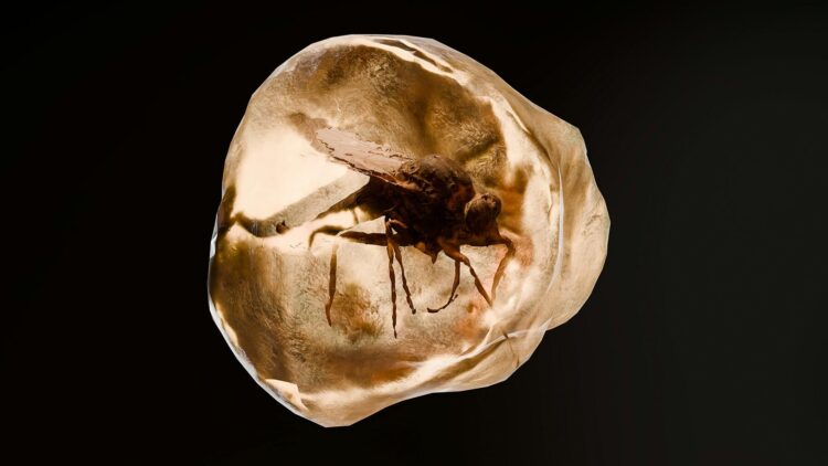 100-Million-Year-Old Time Capsule