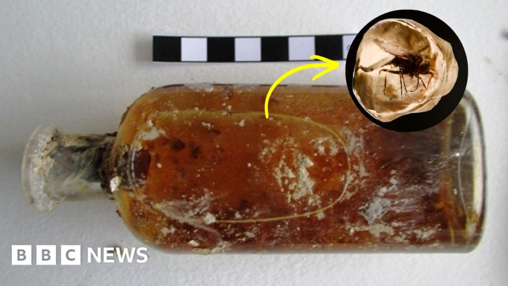 100-Million-Year-Old Time Capsule