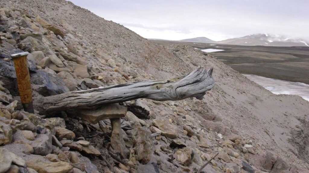 2-Million-Year-Old Site