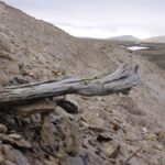 2-Million-Year-Old Site