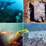 7 Cities the Sea Stole