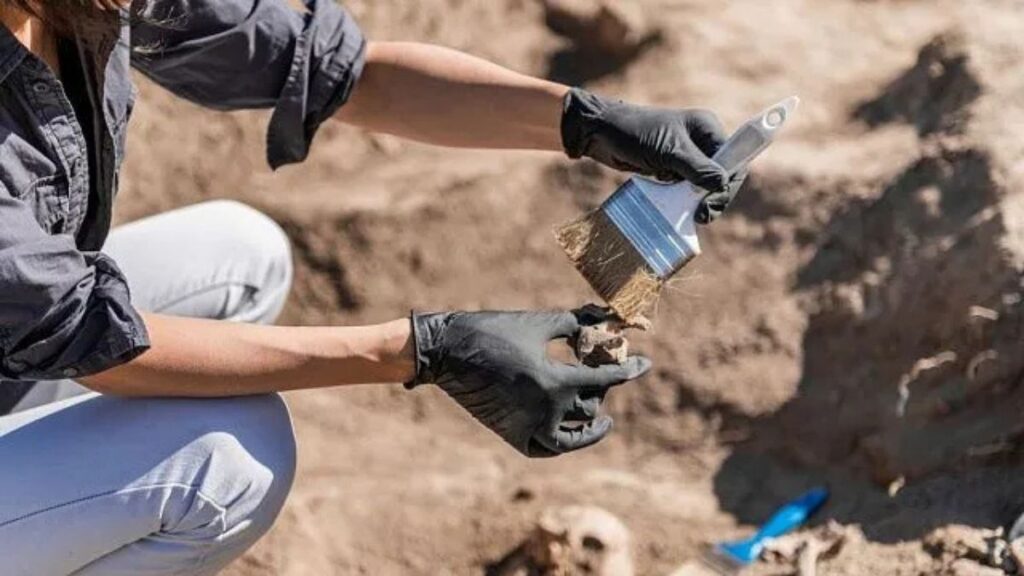 History of Ancient Iran