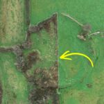 Ireland’s Forgotten Infant Burial Grounds Are Being Found Again