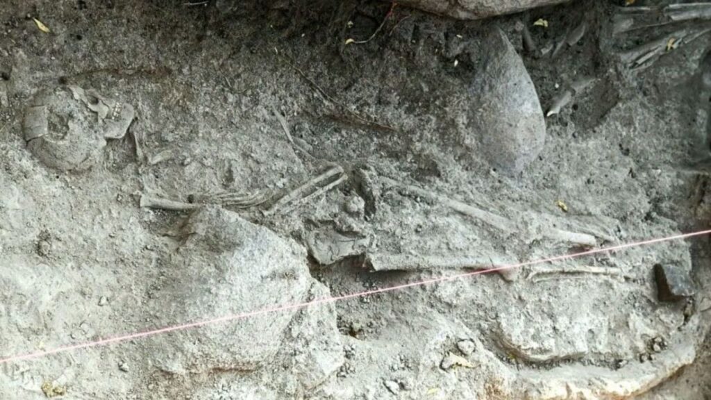 3,000–5,000-Year-Old Human Fossils Found in Karnataka’s Tekkalakota After 60 Years