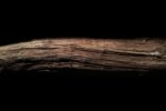 Oldest Wooden Tools Ever Found Rewrite Human History by 40,000 Years